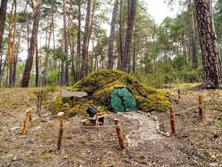 El Bosque De Los Gnomos Camping Canon Del Rio Lobos Soria