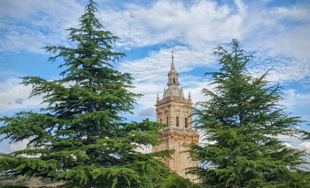 Torre catedral el burgo de osma