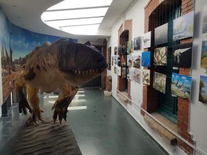 museo dinosaurios Salas de los Infantes 9