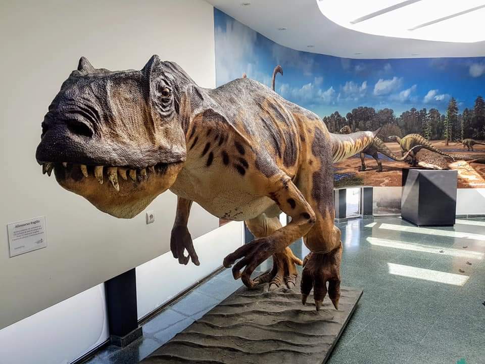 museo dinosaurios Salas de los Infantes PORTADA